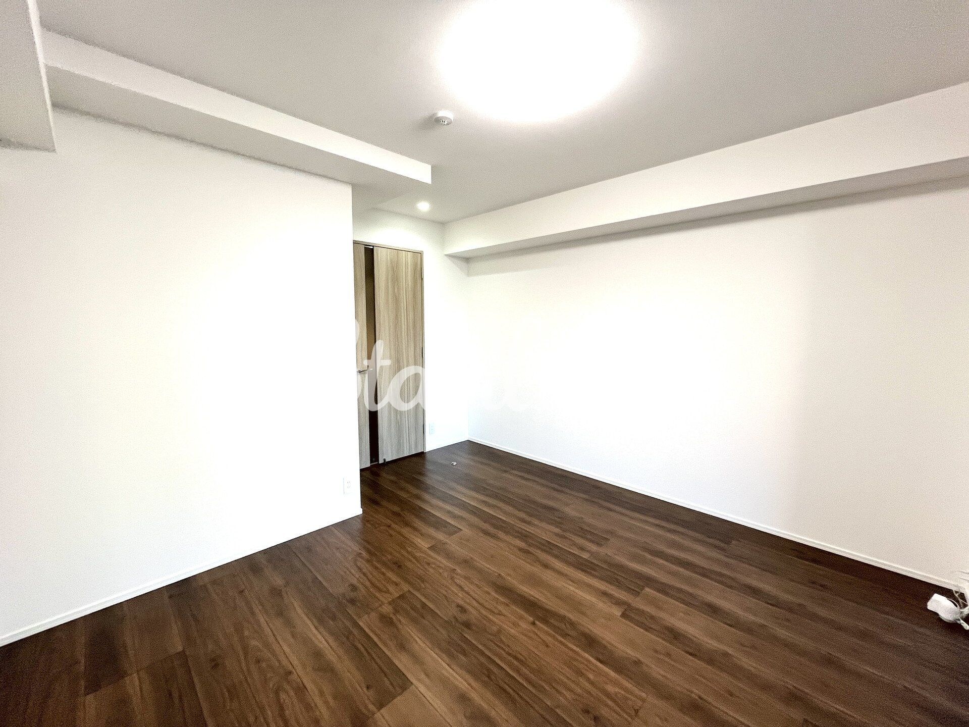 ベルシードアルファ押上イーストの物件内観写真