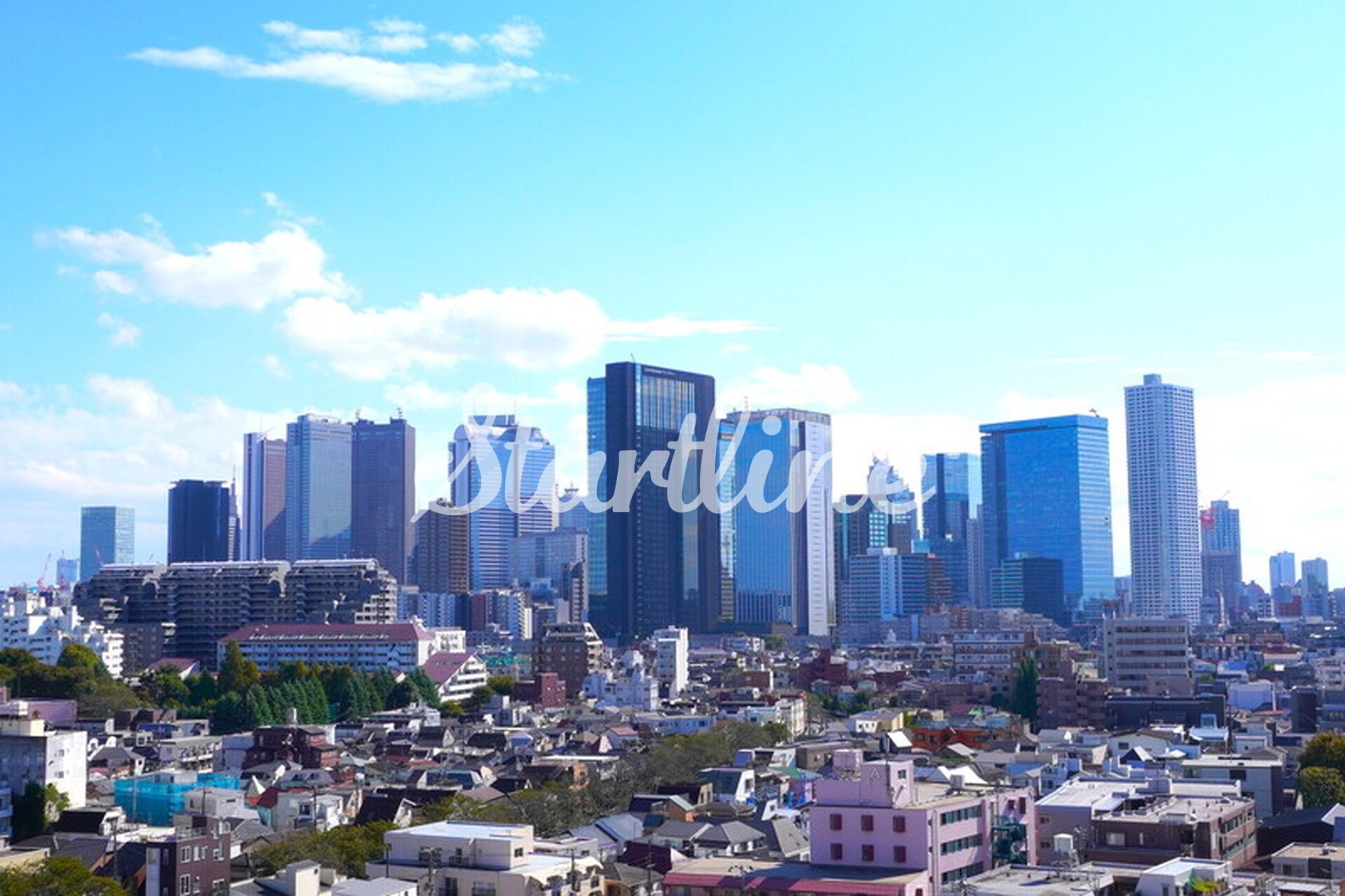 プライムブリス東中野駅前の物件内観写真