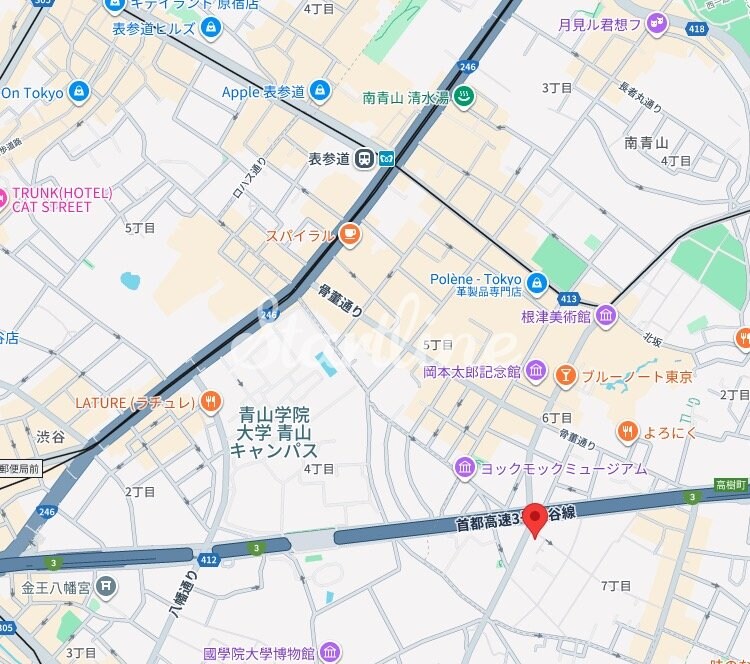 ザ・パークハビオSOHO南青山の物件内観写真