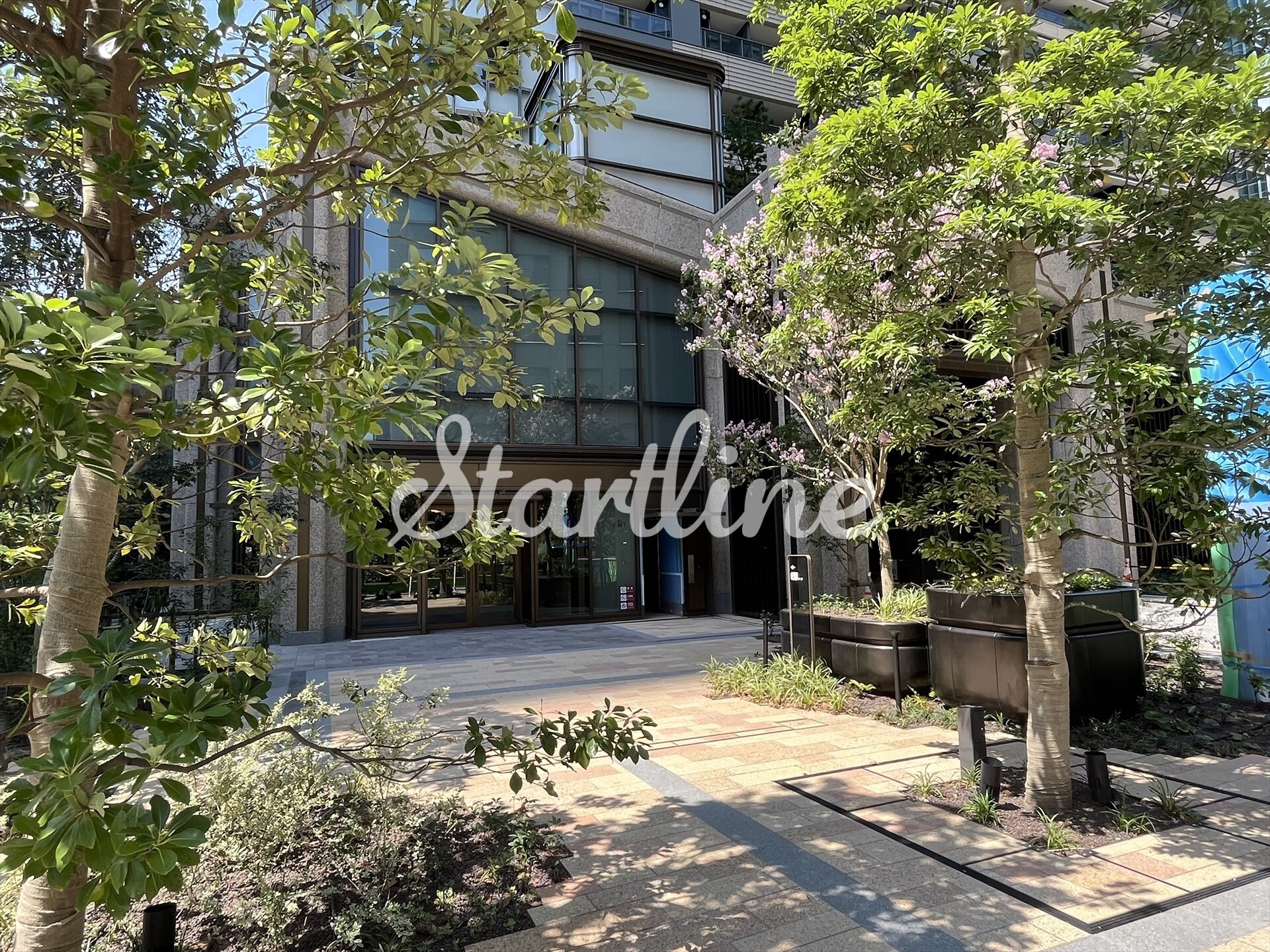 麻布台ヒルズレジデンスB棟の物件内観写真