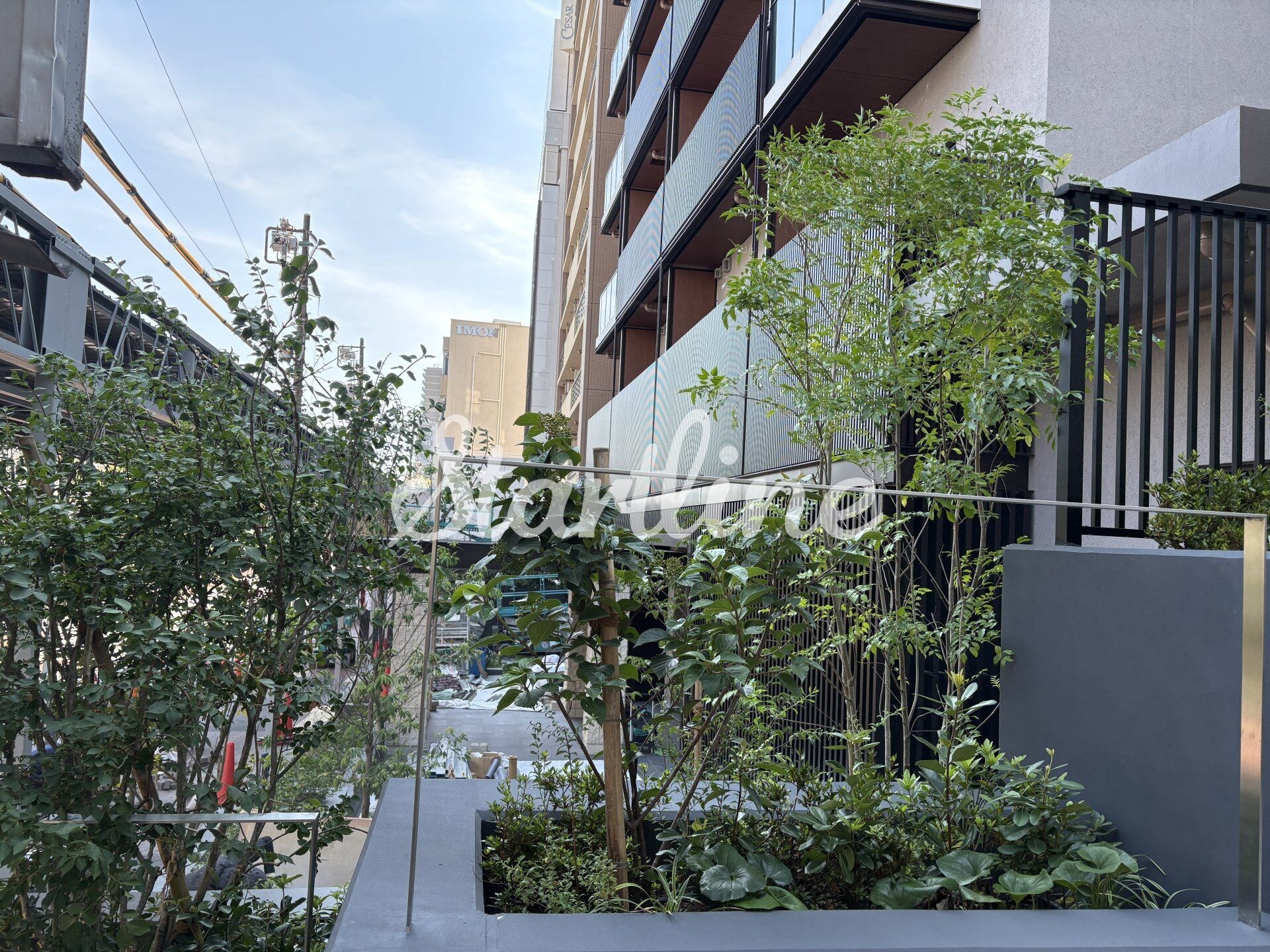 ザ・パークハビオ大森山王の物件内観写真