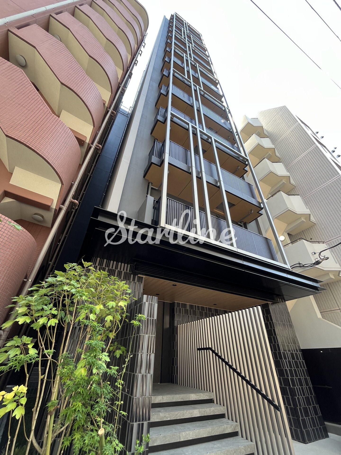 ザ・ライオンズフォーシア文京湯島の物件内観写真