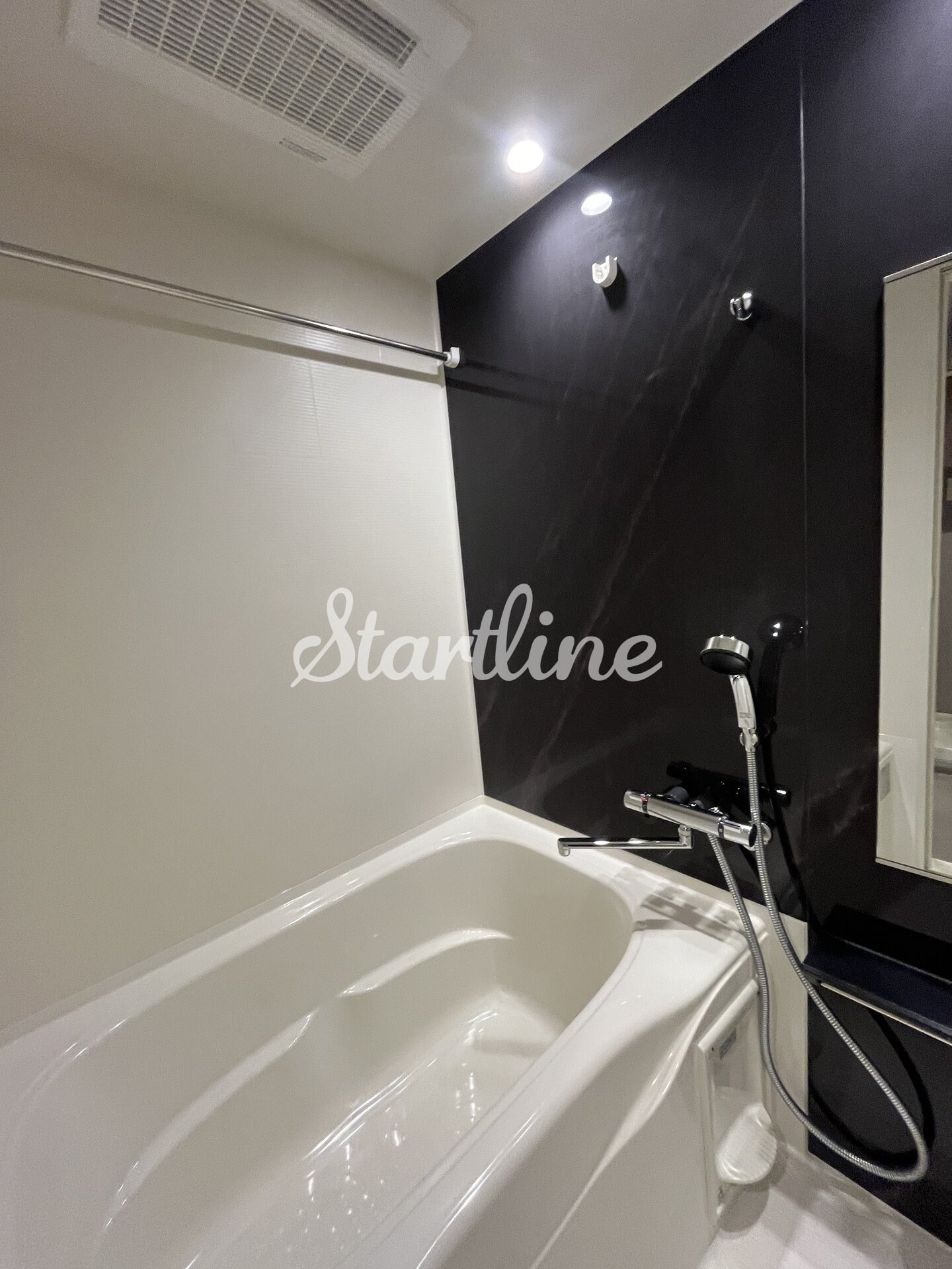 ザ・ライオンズフォーシア文京湯島の物件内観写真