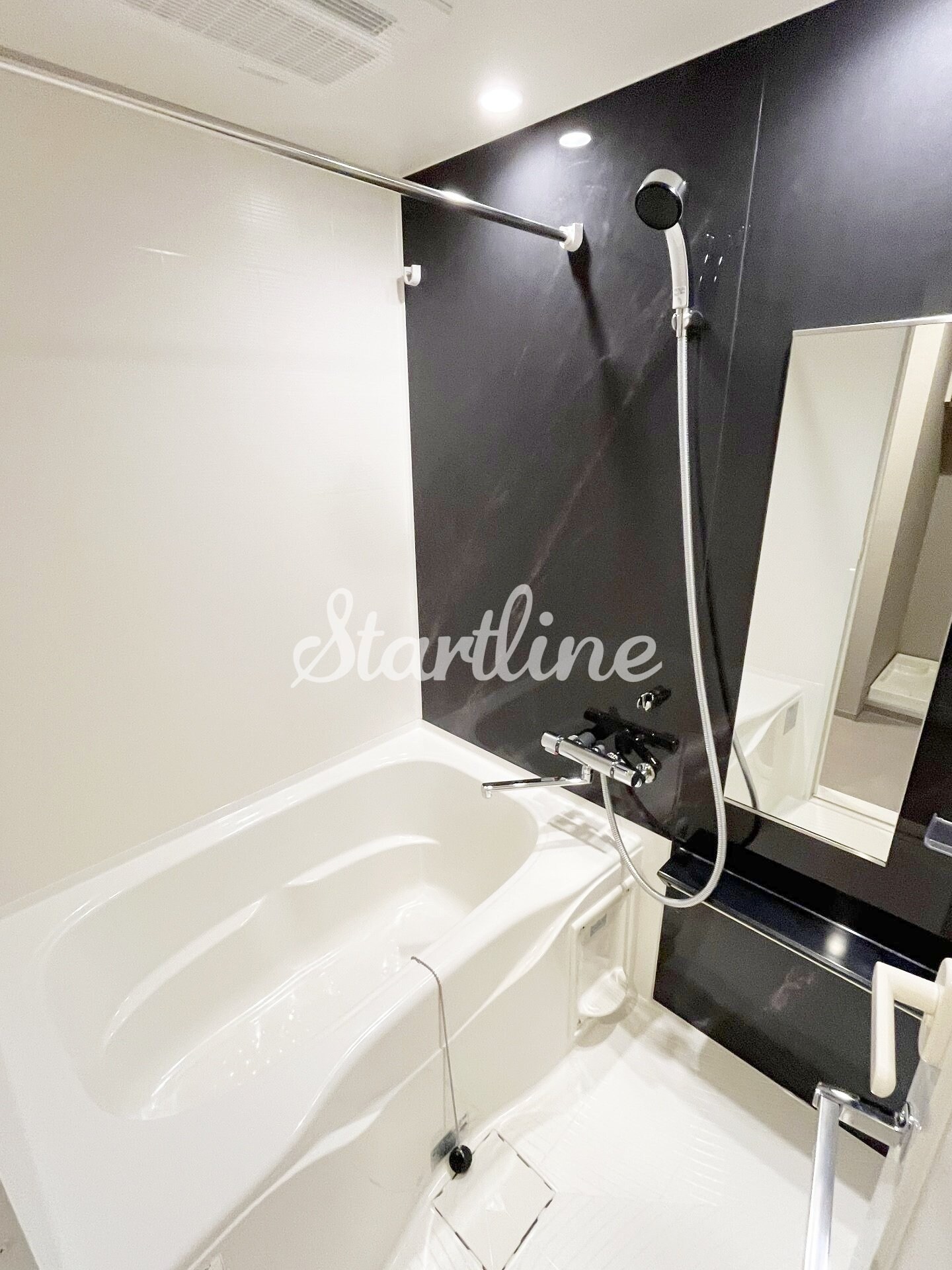 ザ・ライオンズフォーシア文京湯島の物件内観写真