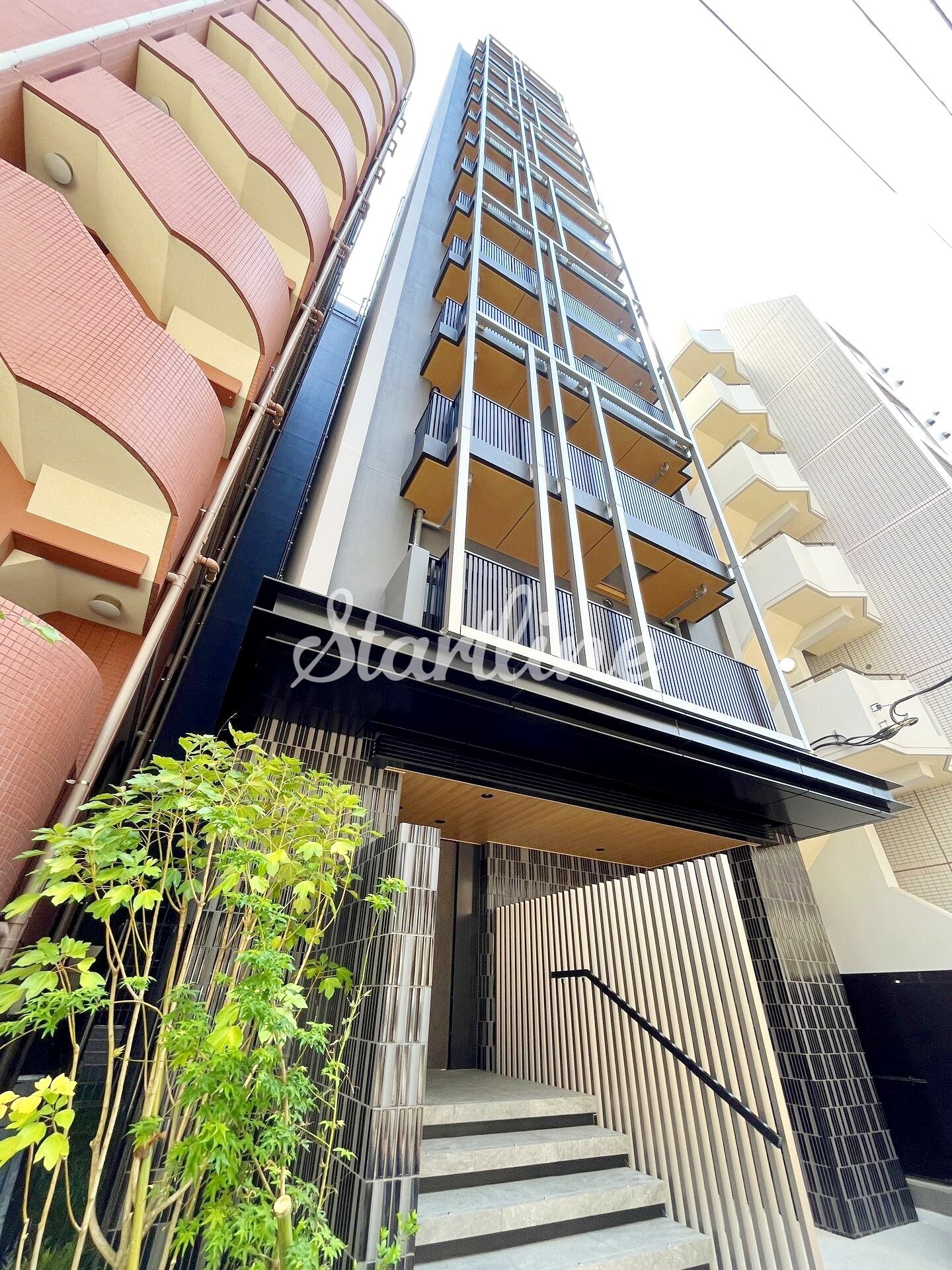 ザ・ライオンズフォーシア文京湯島の物件内観写真