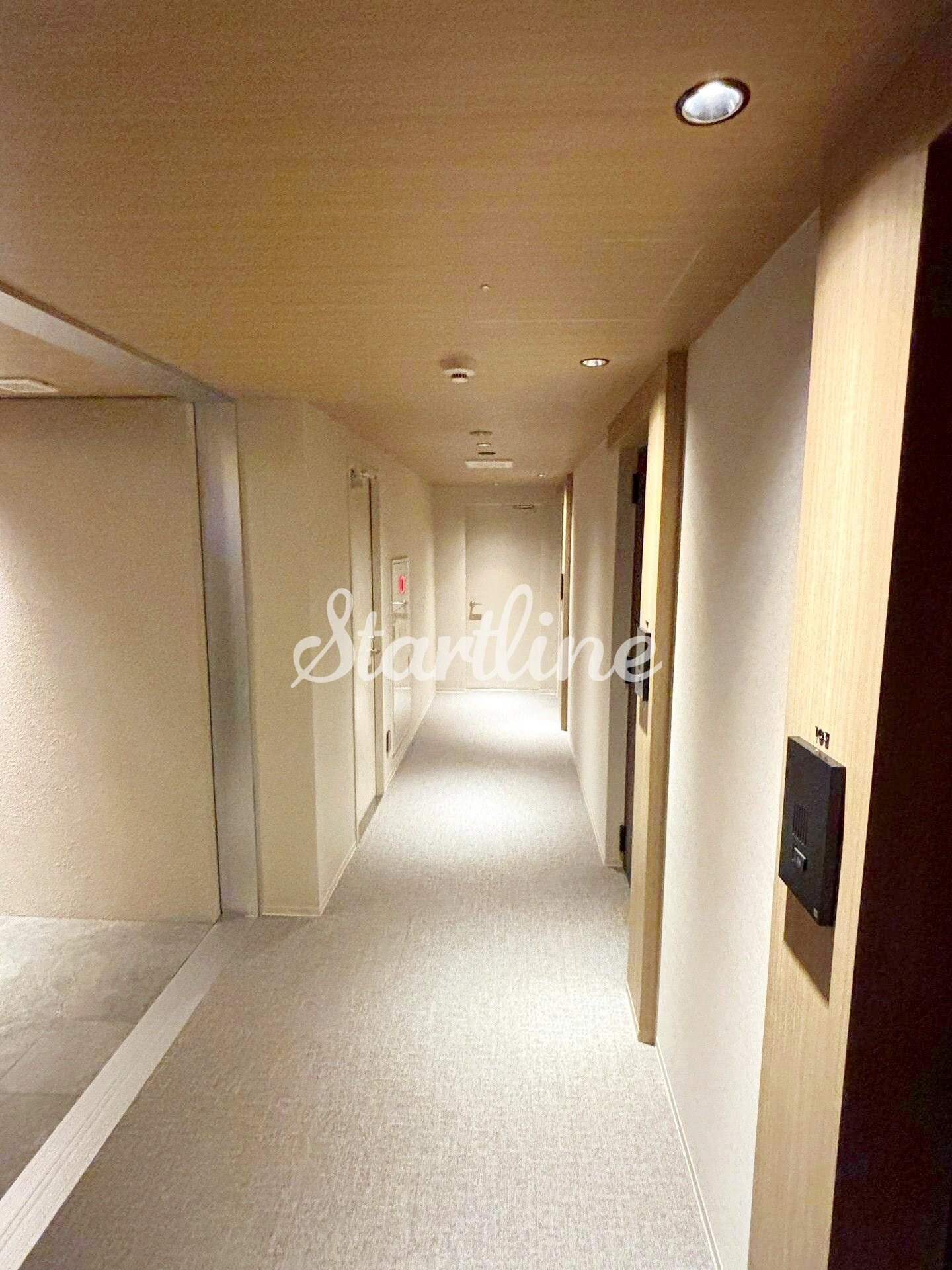 ザ・ライオンズフォーシア文京湯島の物件内観写真