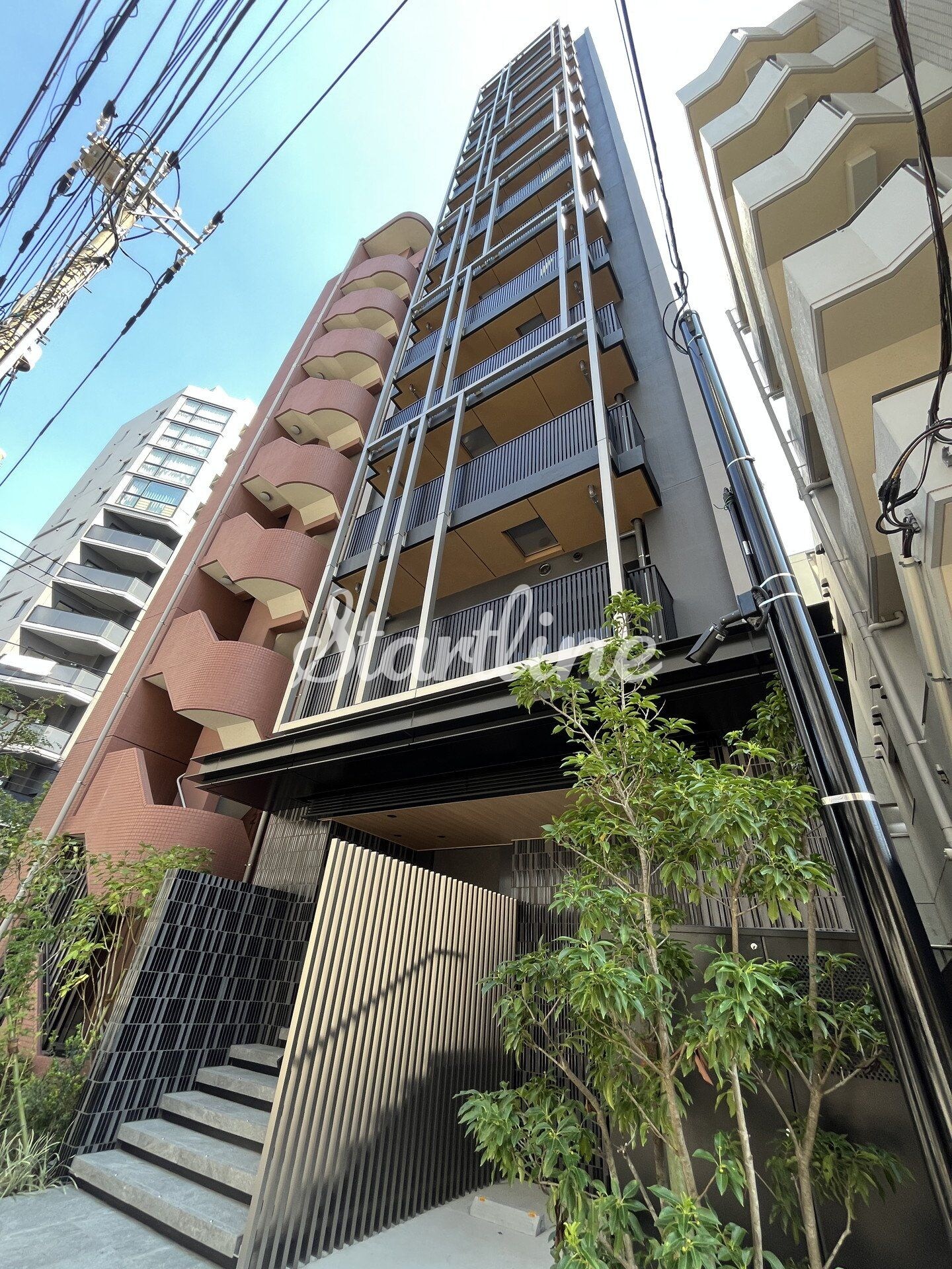 ザ・ライオンズフォーシア文京湯島の物件内観写真