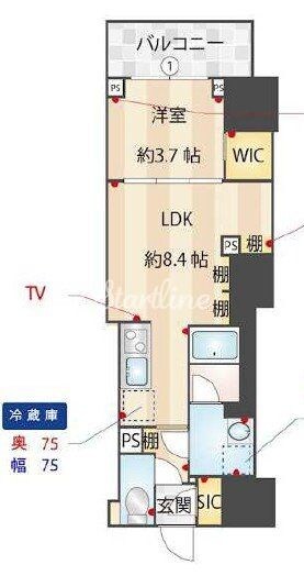 ズーム信濃町の物件間取画像