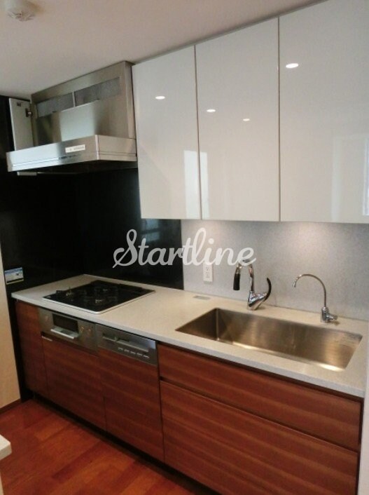 パークハウス平河町の物件内観写真