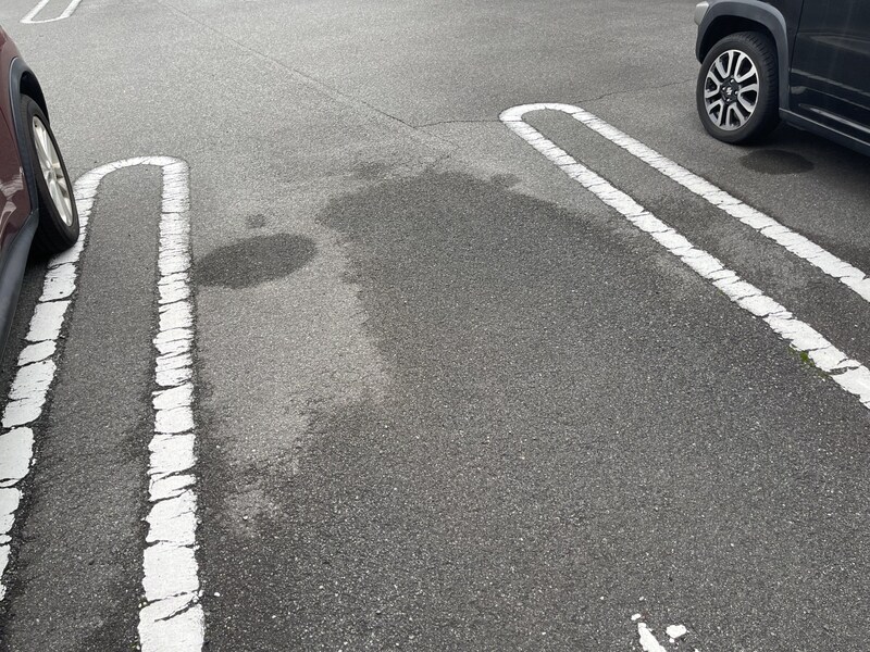 カトレーヴⅥの物件外観写真