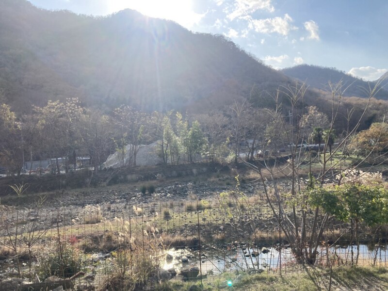 苔縄駅 徒歩23分 2階の物件内観写真