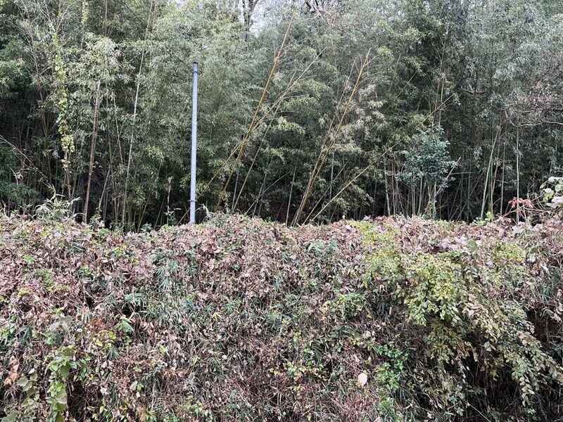 アヴェルラの物件内観写真