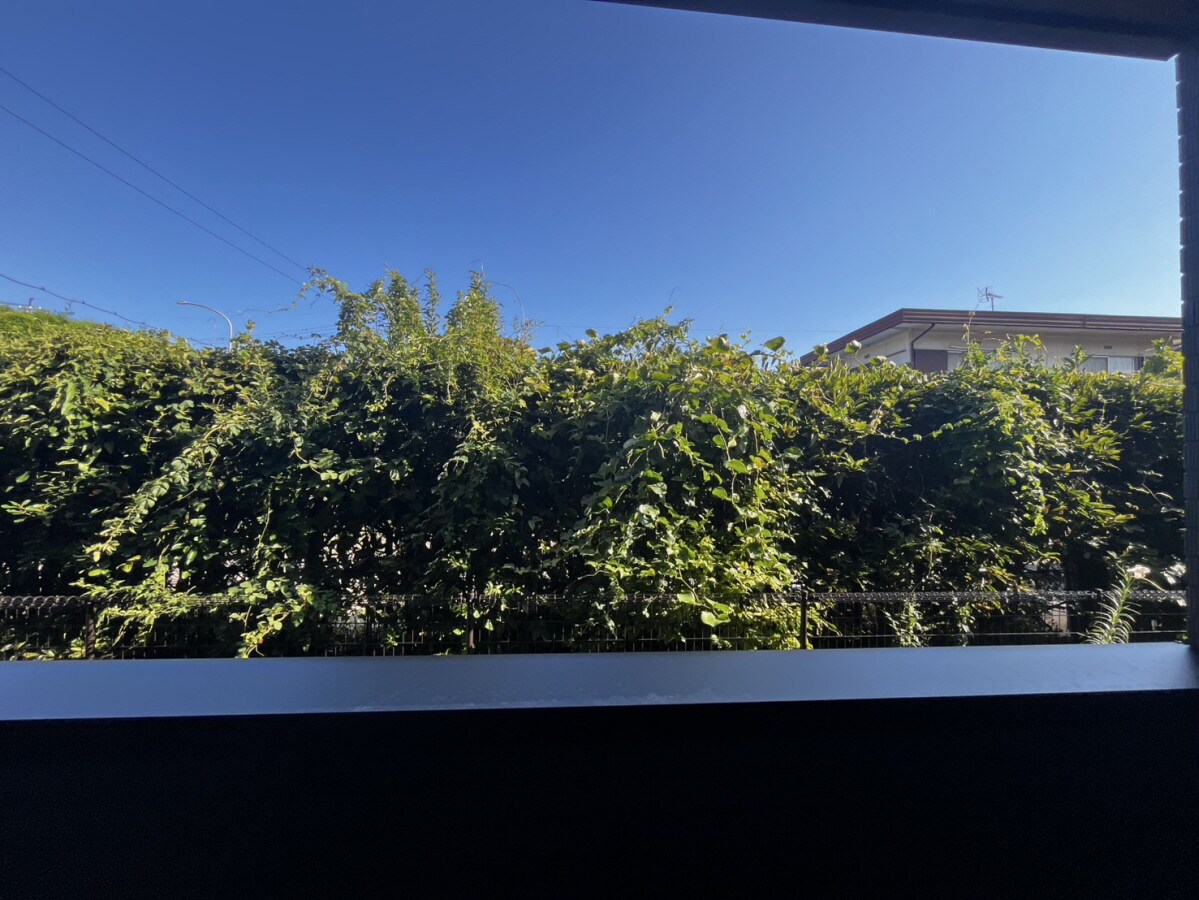 プリマヴェーラAの物件内観写真