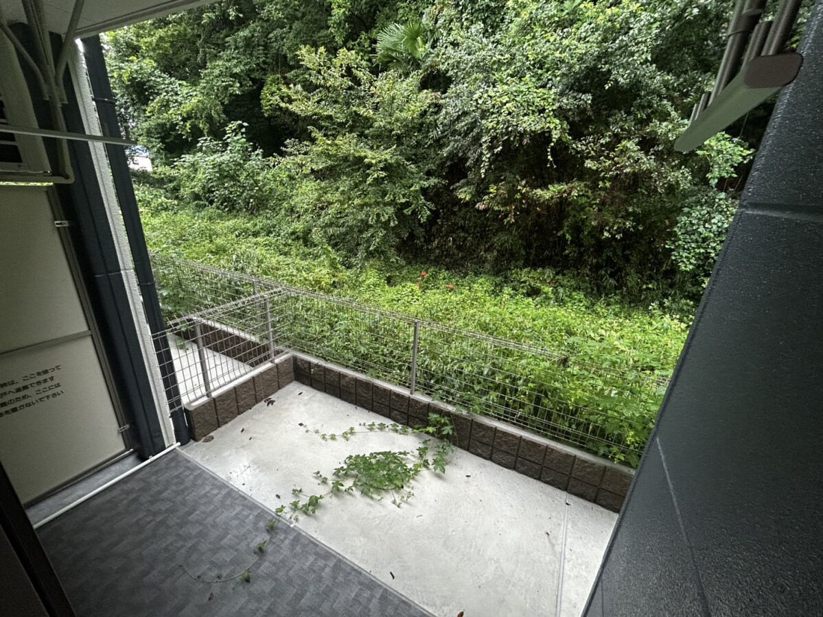 アヴェルラ・プラスの物件内観写真