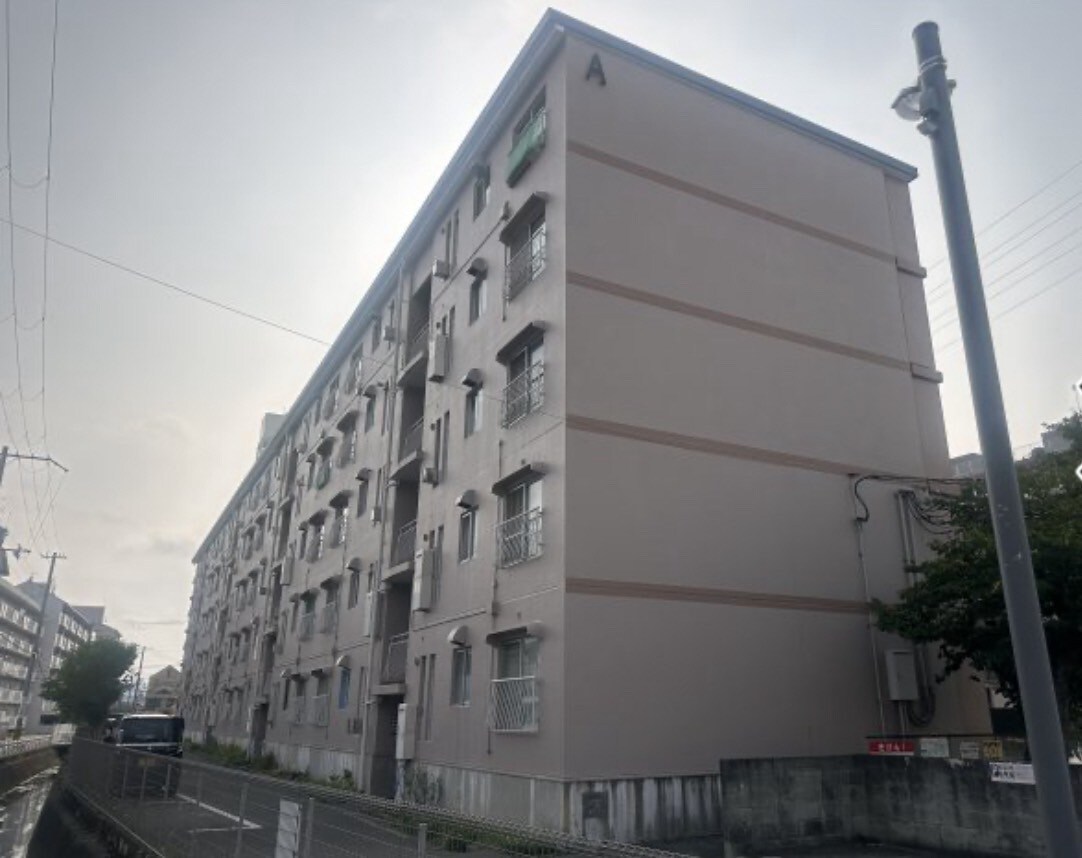 青山年ヶ森ハイツA棟の物件外観写真