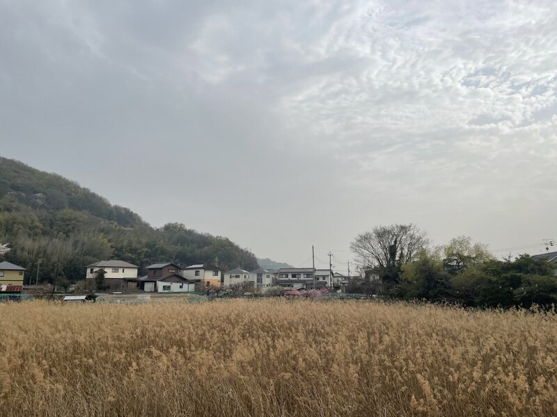 シン・シン・ハウスＣの物件内観写真