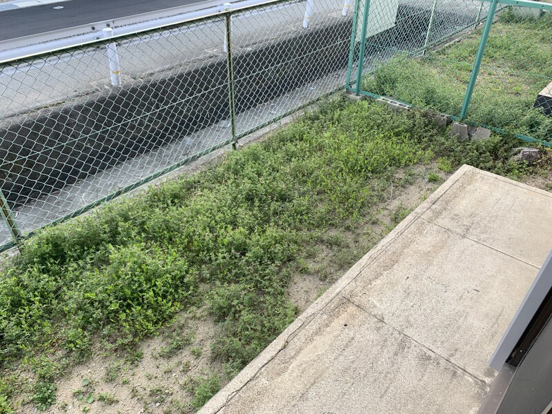 西飾磨駅 徒歩12分 1階の物件内観写真