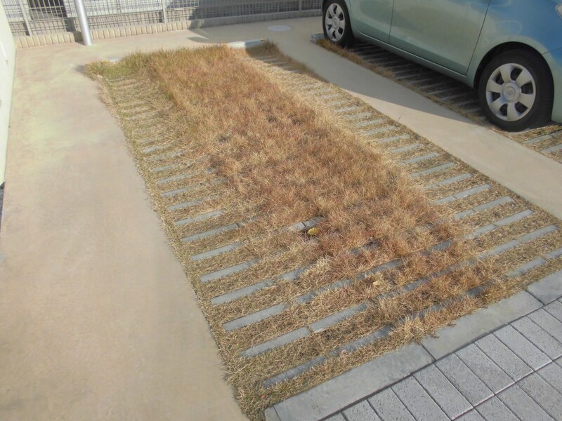 アズールの物件外観写真