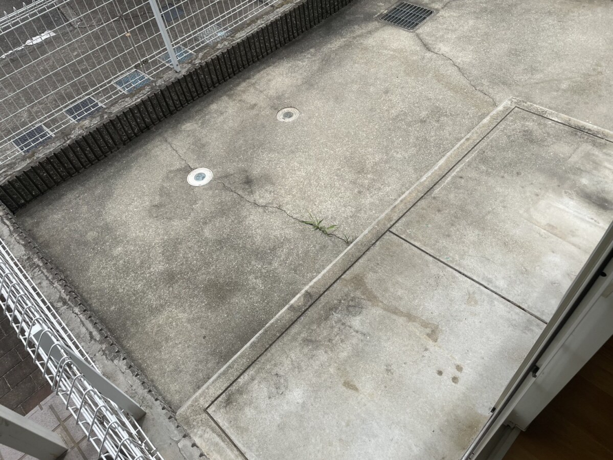 ミレニアム・カーサAの物件内観写真