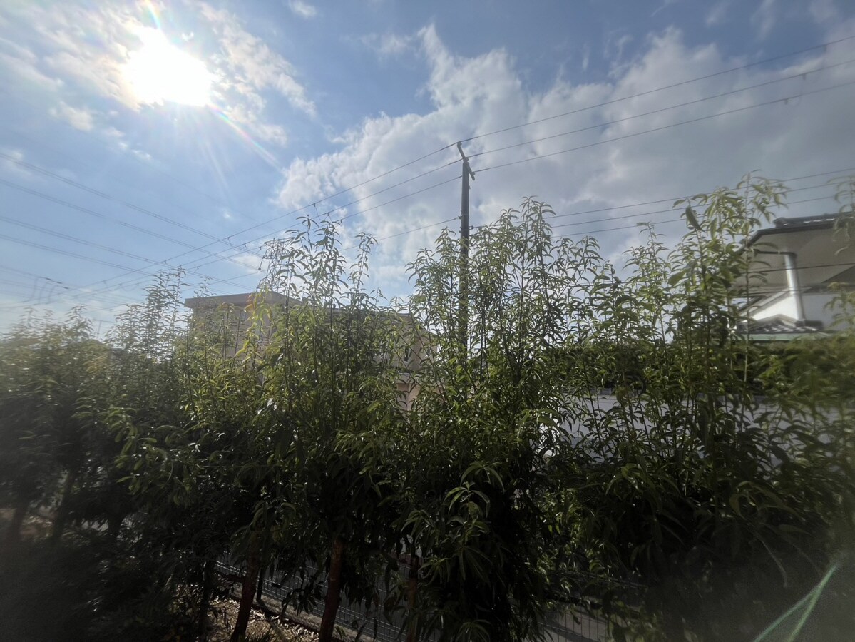 クラッセ参番館の物件内観写真