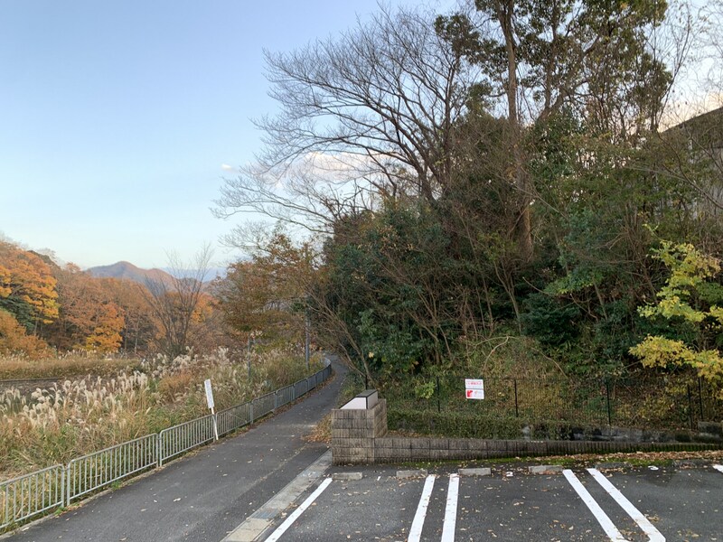 モス フロックス ノイの物件内観写真