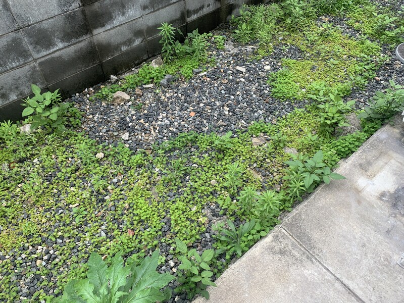 コスモガーデン英賀保の物件内観写真