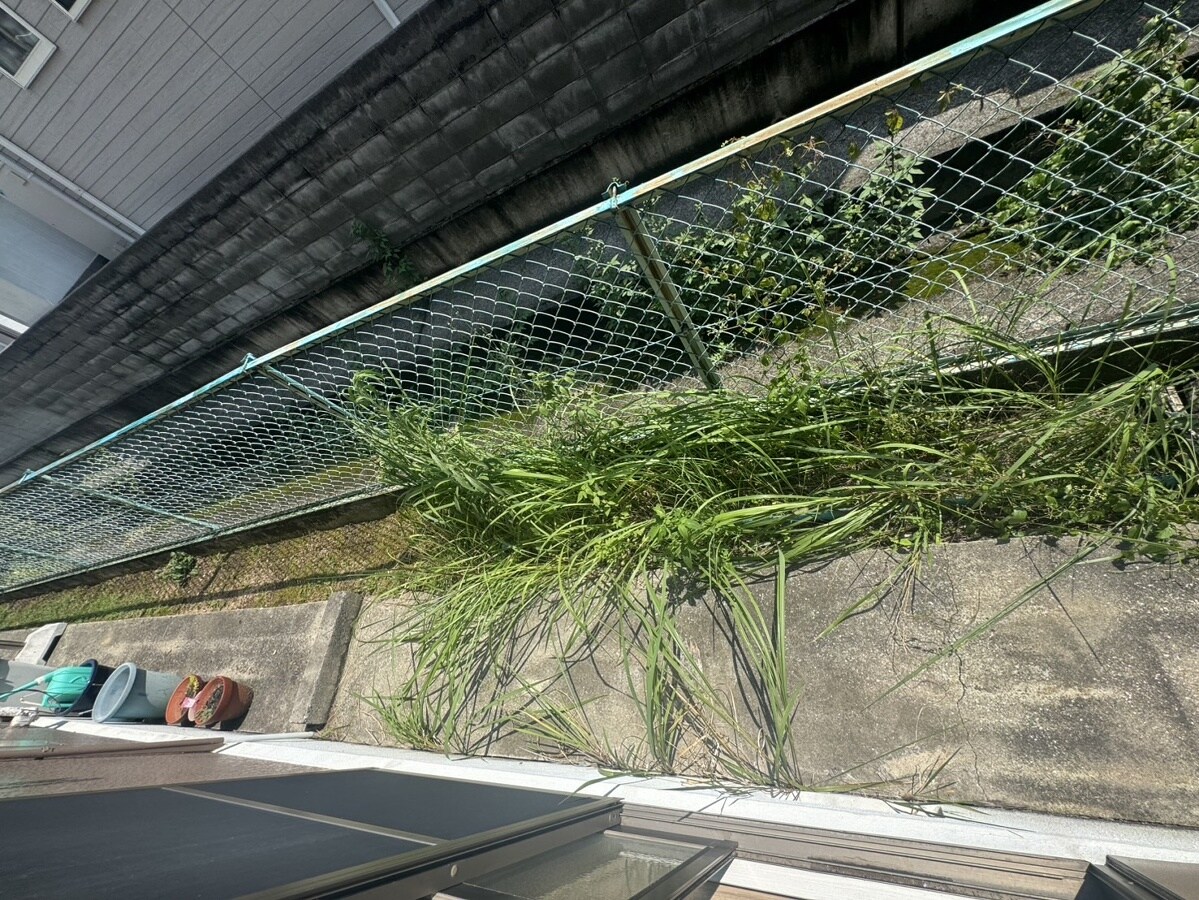 ハイツブランドールの物件内観写真