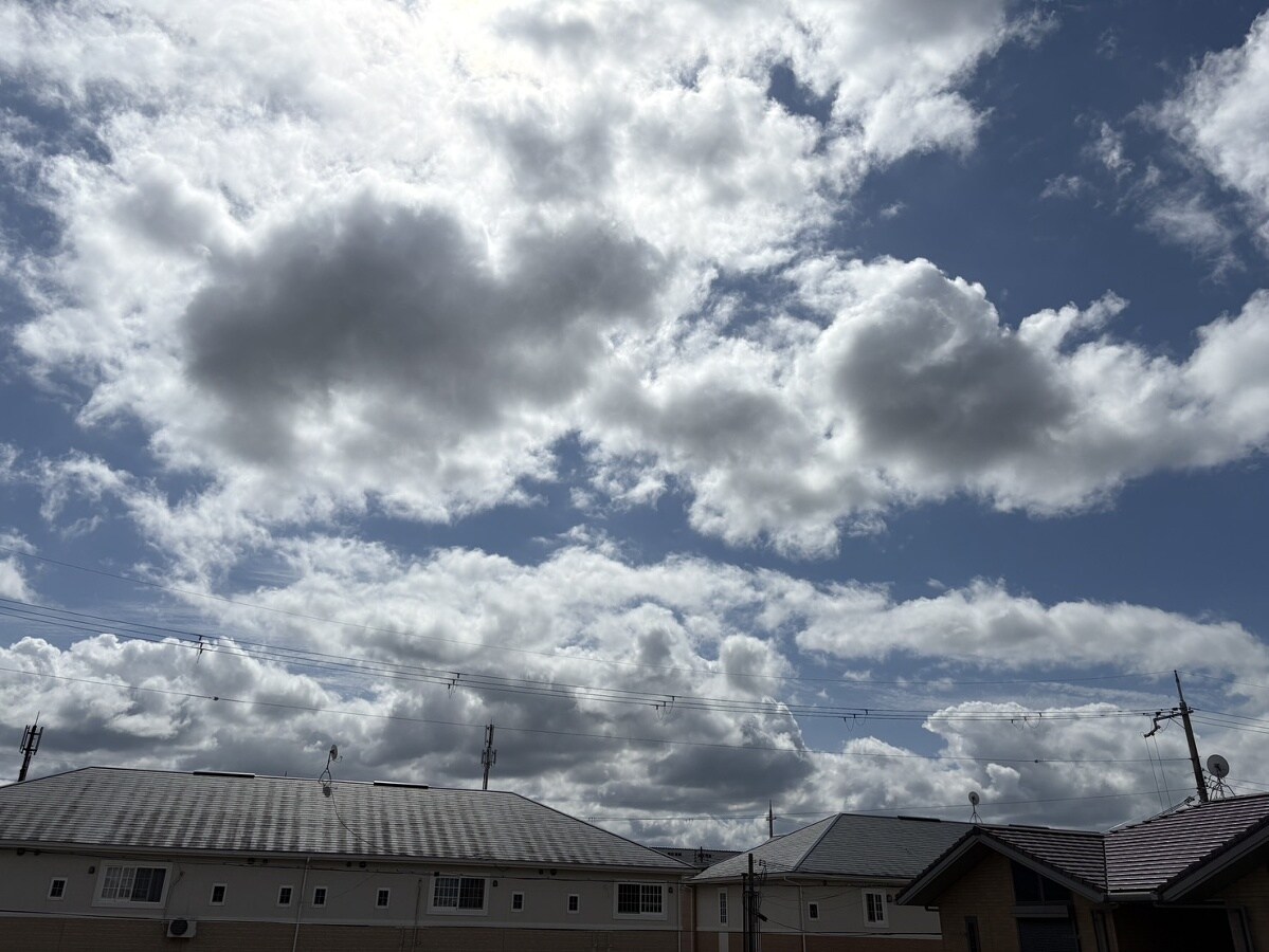 社町駅 バス25分  東条中前下車：停歩12分 2階の物件内観写真