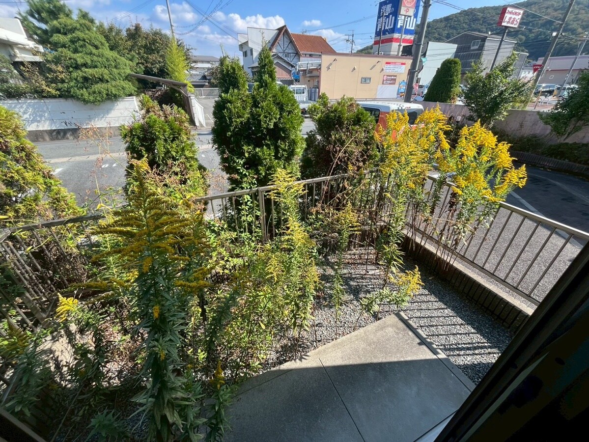 ベルフローラの物件内観写真