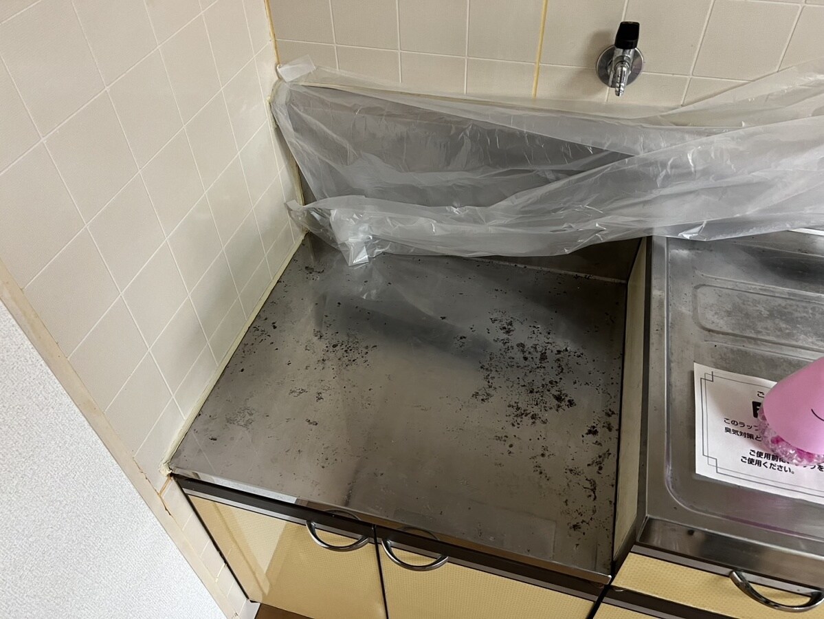 セントポーリアの物件内観写真