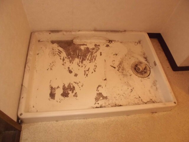 グラースガーデン今宿の物件内観写真