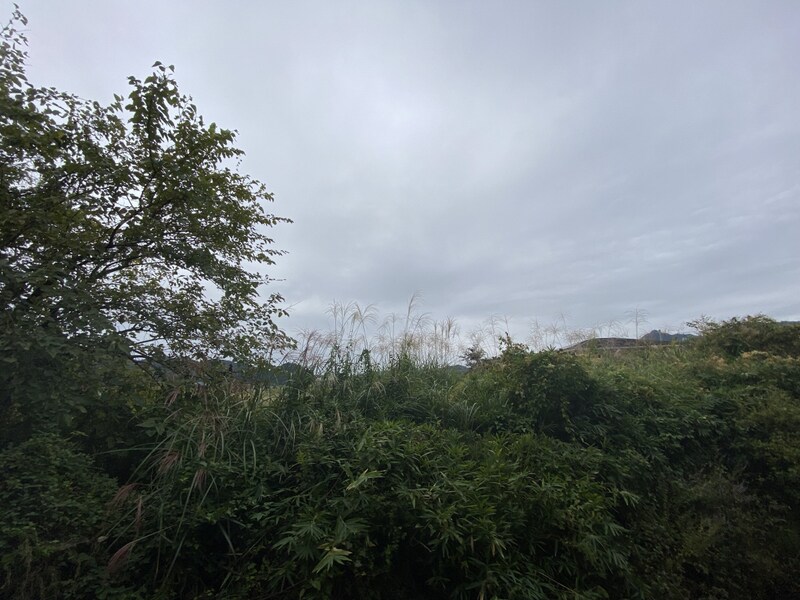 メゾン・ドールやかたB棟の物件内観写真