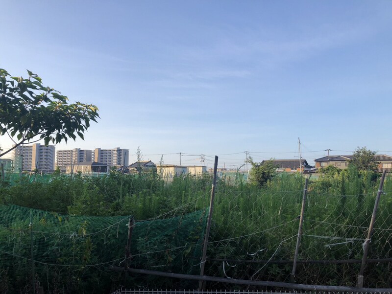 シエルソーレの物件内観写真