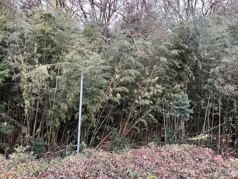 アヴェルラの物件内観写真