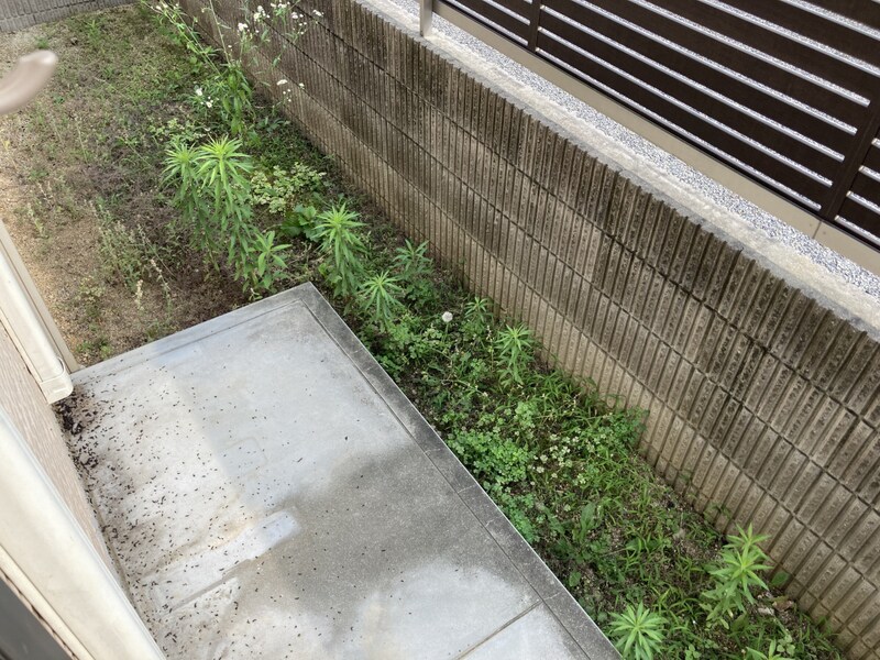 ヴィラームアウリンコの物件内観写真