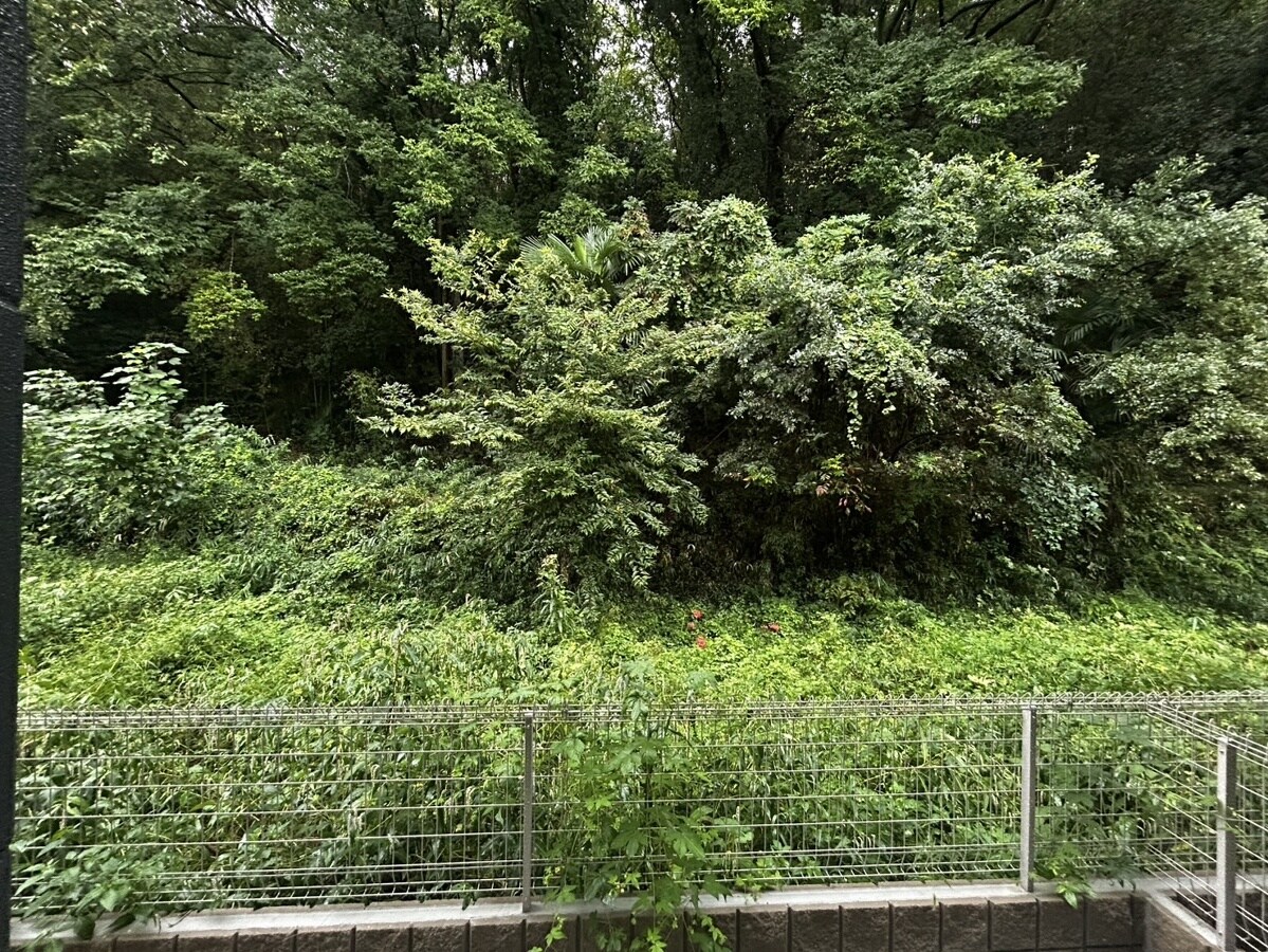 アヴェルラ・プラスの物件内観写真