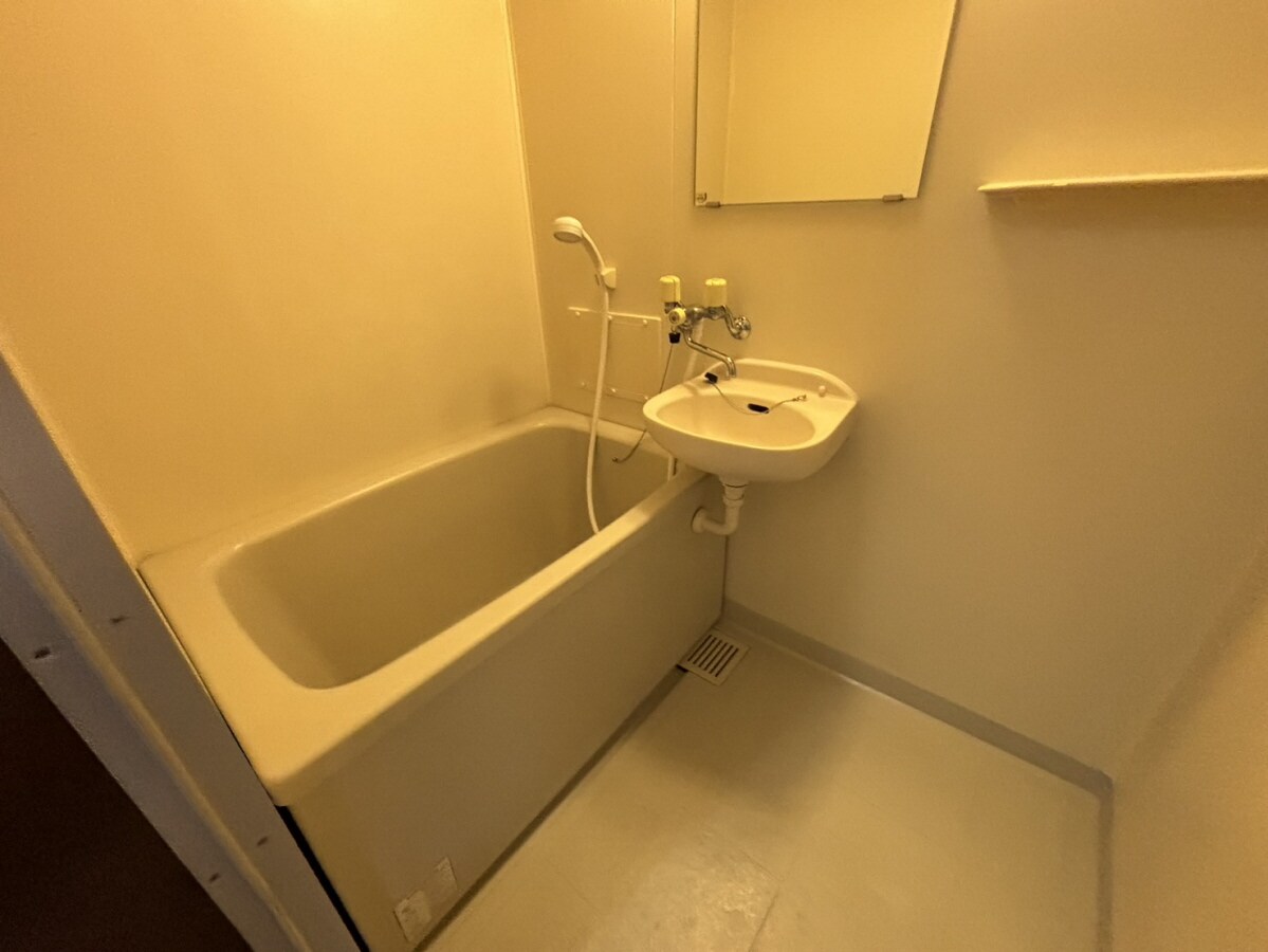 サンフレッチェ南条Ａの物件内観写真