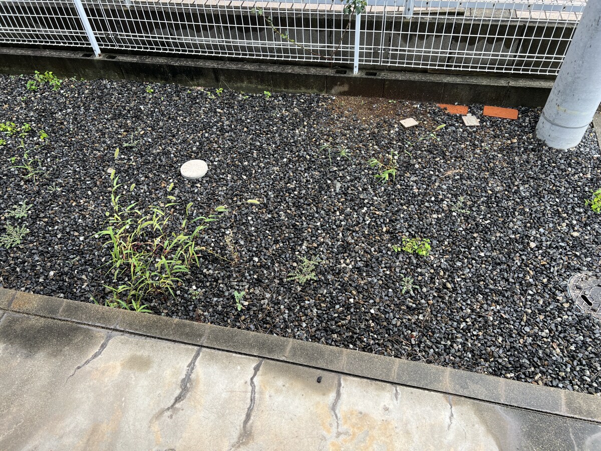 Rinky Gardenの物件内観写真