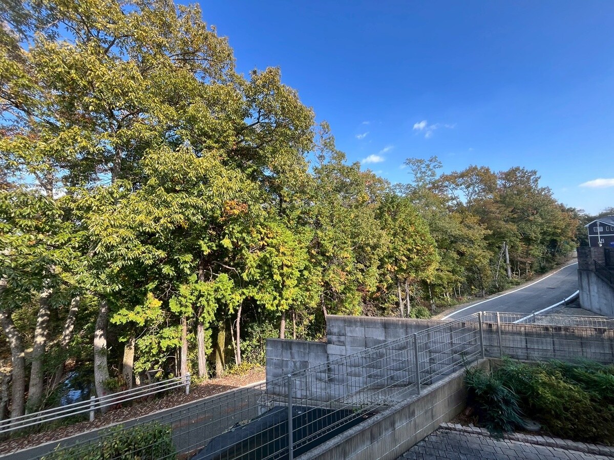 ジュセイビレッジの物件内観写真