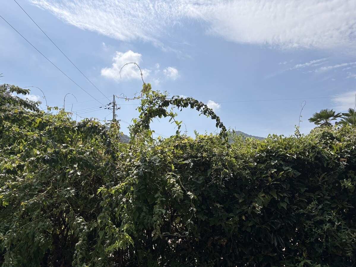 プリマヴェーラＡの物件内観写真