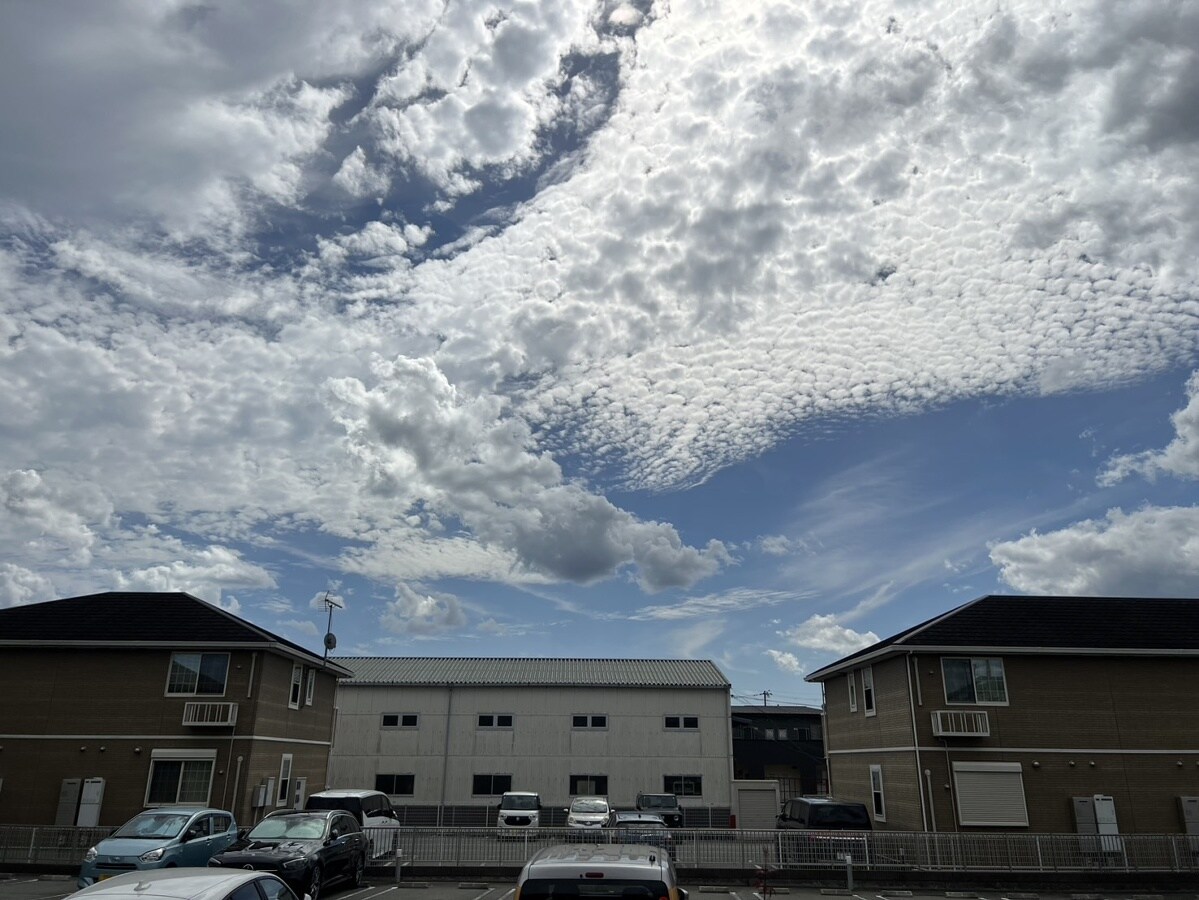 ＰＩＳＯ　ＭＡＲＩＯの物件内観写真