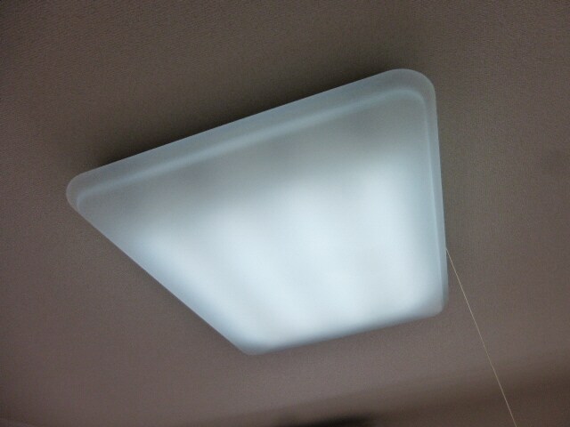 サンフレッチェ南条Ａの物件内観写真