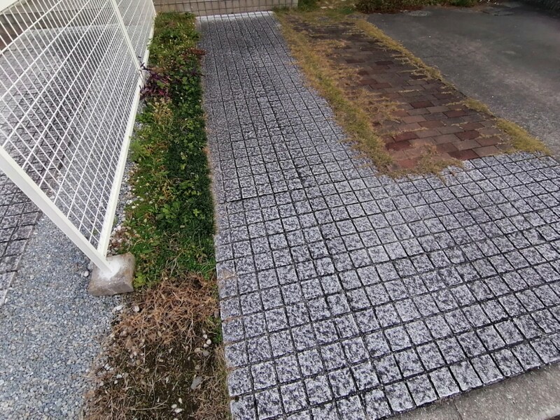 サンザ・デ・ヤシキの物件内観写真