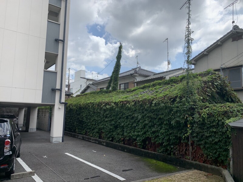 ヴァンベールⅡの物件内観写真