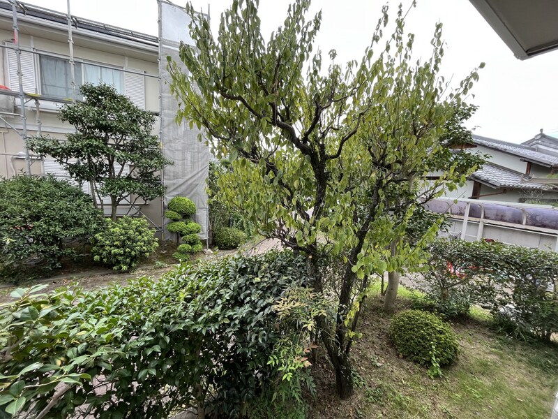 叶い坂の物件内観写真