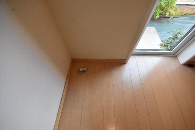 向洋駅 徒歩37分 1階の物件内観写真