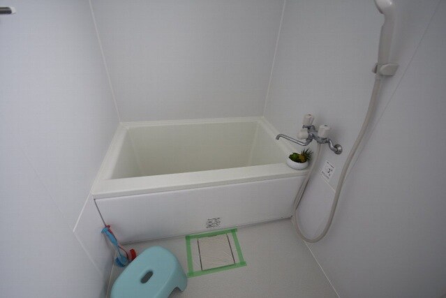 舟入南駅 徒歩14分 3階の物件内観写真